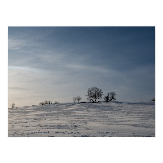 Póster Paisaje nevado    (Anverso)
