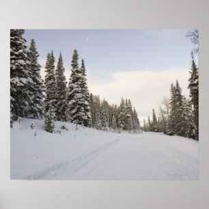 Póster Paisaje nevado