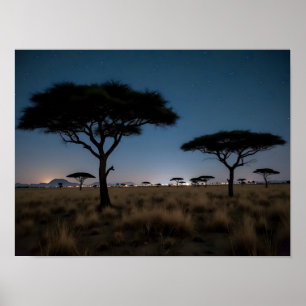 Póster Paisaje nocturno de estrellas y árboles de acacia