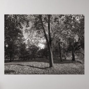 Póster Paisaje otoñal Bute Park Cardiff