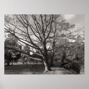 Póster Paisaje otoñal Bute Park Cardiff