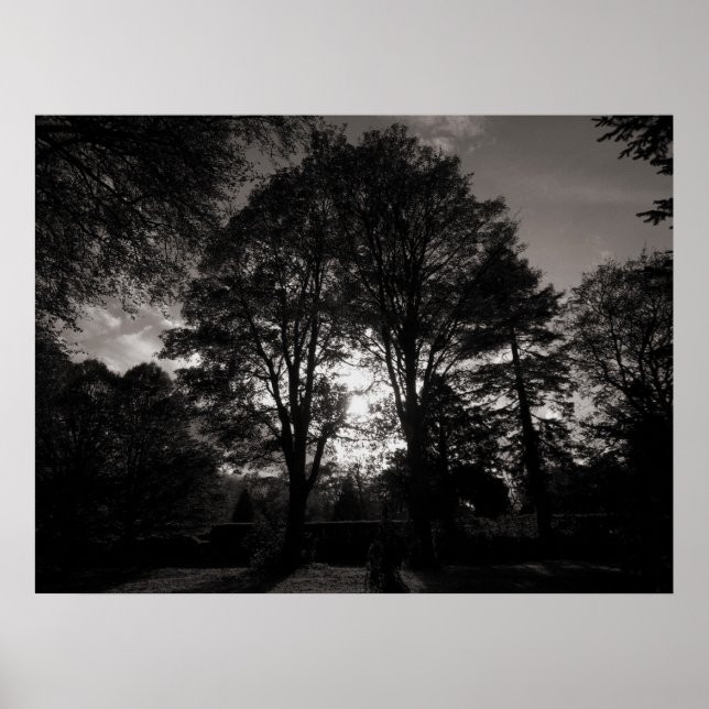 Póster Paisaje otoñal Bute Park Cardiff (Frente)