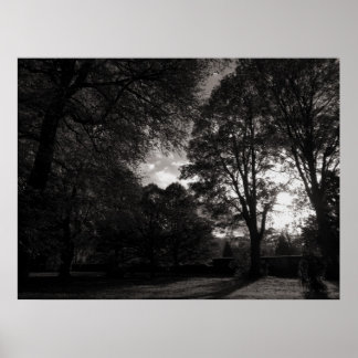 Póster Paisaje otoñal Bute Park Cardiff
