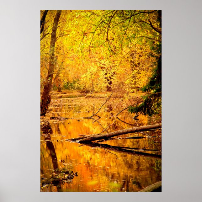 Póster Paisaje otoñal Fotografía de la naturaleza de los  (Frente)