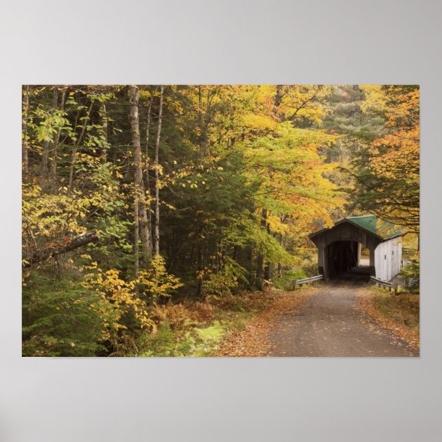 Póster Paisaje otoñal, Vermont, Estados Unidos 2 (Frente)