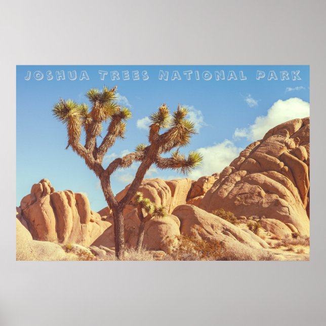 Póster Paisaje paisajístico del Parque Nacional de Joshua (Frente)