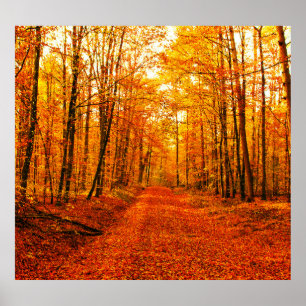 Póster Paisaje pintoresco del Camino Otoño