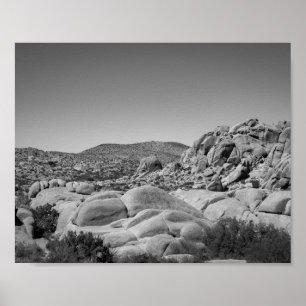 Póster Paisaje rocoso de árbol Joshua - Fotografía
