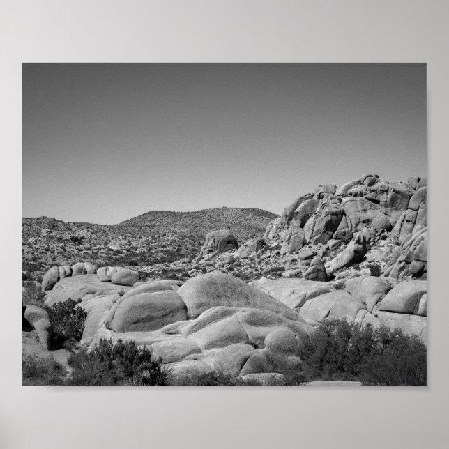 Póster Paisaje rocoso de árbol Joshua - Fotografía (Frente)