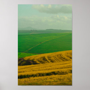 Póster Paisaje rural de Sudáfrica Campos de Canola