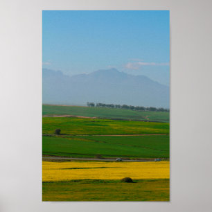 Póster Paisaje rural de Sudáfrica Campos de Canola N7