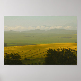 Póster Paisaje rural de Sudáfrica Campos de Canola Poster