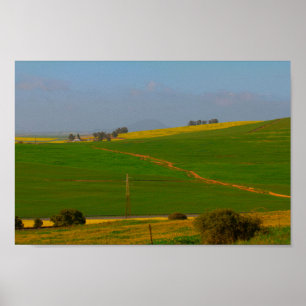 Póster Paisaje rural de Sudáfrica Campos de Canola Poster