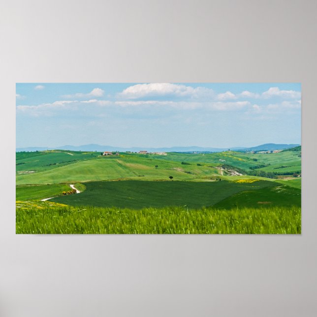 Póster Paisaje típico de la Toscana (Frente)