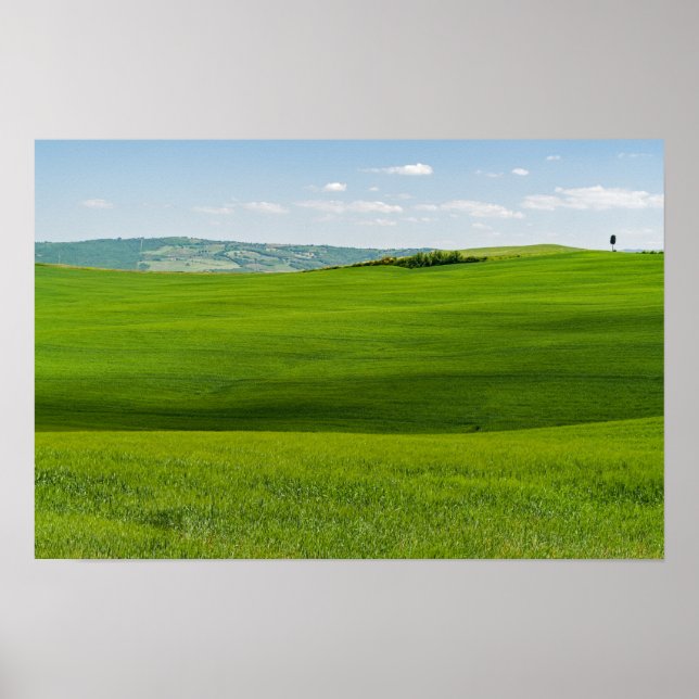 Póster Paisaje típico de la Toscana (Frente)