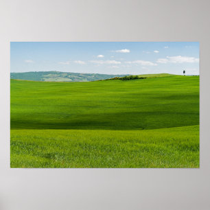 Póster Paisaje típico de la Toscana