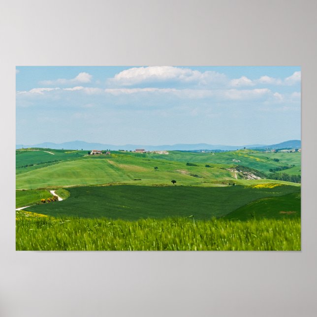 Póster Paisaje típico de Toscana (Frente)