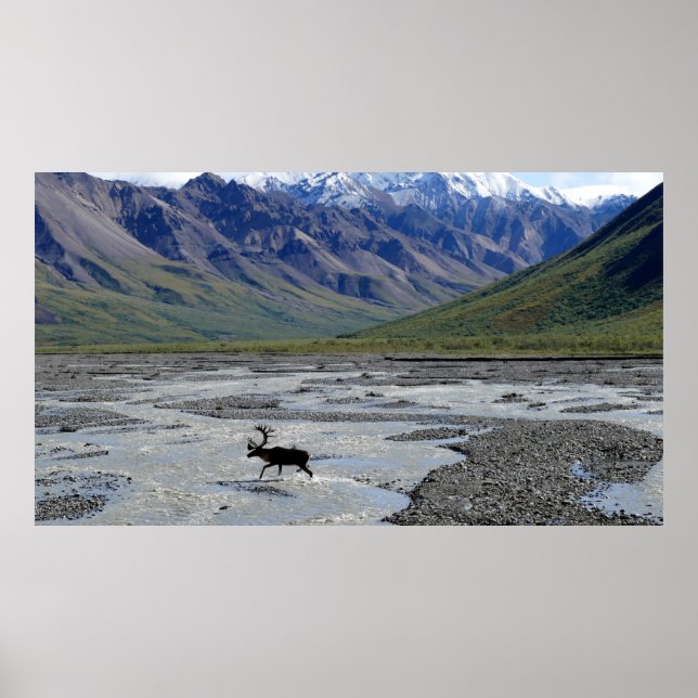 PÓSTER PAISAJE TRANQUILO CON REINADOR (Frente)