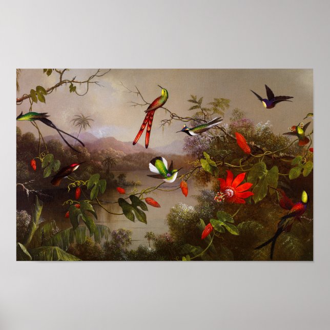 Póster Paisaje tropical con 10 Hummingbirds Heade (Frente)