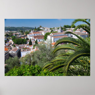 Póster Paisaje urbano de Aveiro, Portugal