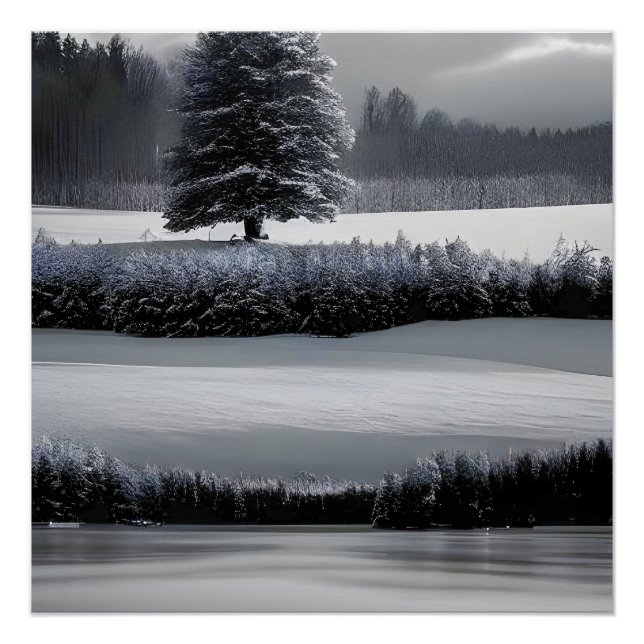 Póster Paisaje y árbol de invierno, negro y blanco - arte (Anverso)