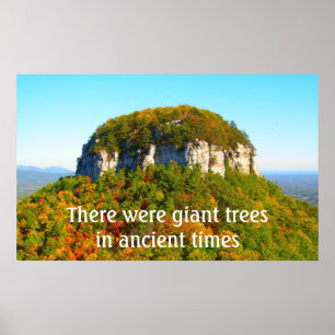 Póster Paisaje y árboles de Pilot Mountan