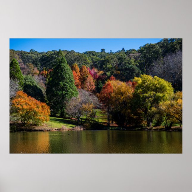 Póster Paisajes de colores vivos de otoño (Frente)