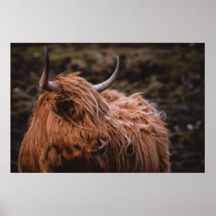 PÓSTER PAISAJES DRAMÁTICOS Y MODERNOS INSPIRADOS POR LA N