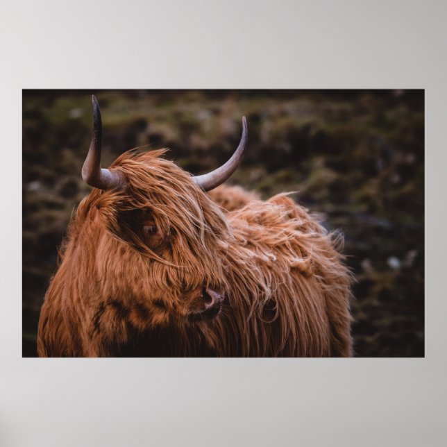 PÓSTER PAISAJES DRAMÁTICOS Y MODERNOS INSPIRADOS POR LA N (Frente)