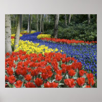 Países Bajos, Holanda, Lisse, Jardines Keukenhof