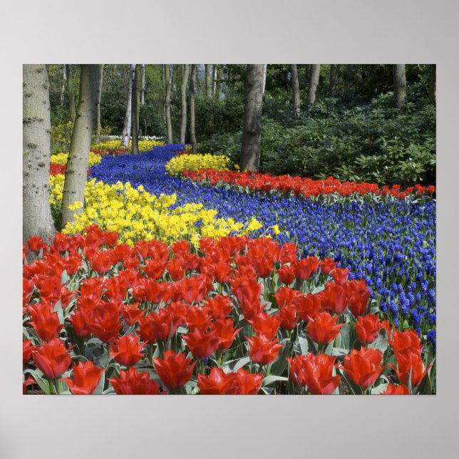 Póster Países Bajos, Holanda, Lisse, Jardines Keukenhof (Frente)