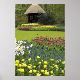 Póster Países Bajos (Holanda), Lisse. Keukenhof 5