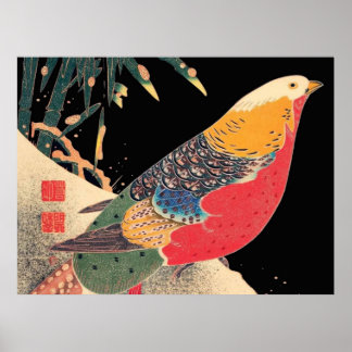 Póster Pájaro