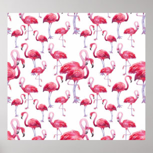 Póster Pájaro acuático Flamingo Exótico