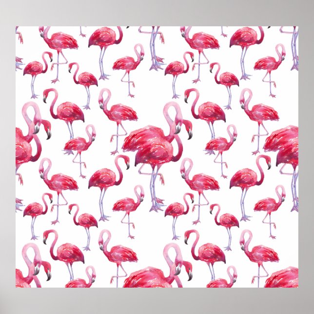 Póster Pájaro acuático Flamingo Exótico (Frente)