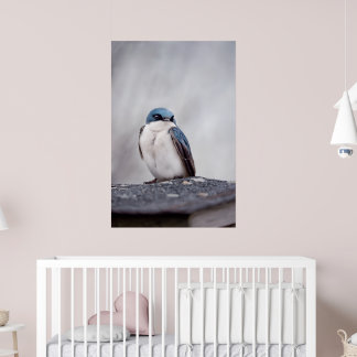Póster Pájaro Azul