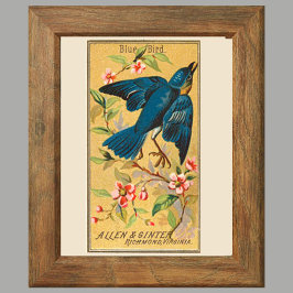 Póster Pájaro azul, conjunto de 8 (2 de 8) Muro de la Gal