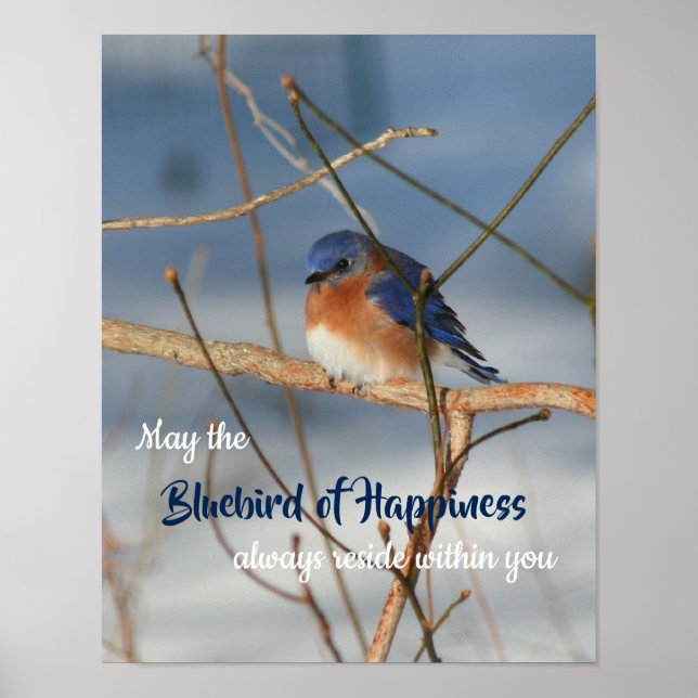 Póster Pájaro Azul De La Felicidad Inspirador (Frente)
