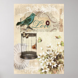 Póster pájaro botánico pájaro fresco moderno