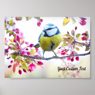 Póster Pájaro Cantante Colorido y Flores de Primavera, Tu