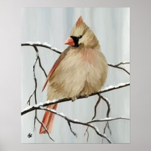Póster Pájaro Cardenal Del Norte En Invierno