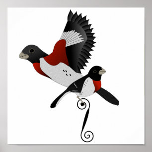 Póster Pájaro cardenal Rosa Grosbeak