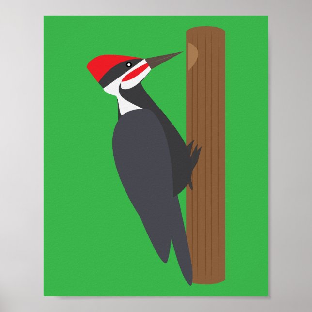 Póster Pájaro carpintero (Frente)