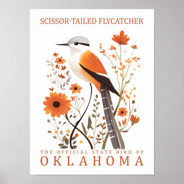Póster Pájaro cissor de Flycatcher en cola de Oklahoma (Frente)