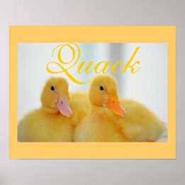 Póster Pájaro de ave animal de corte de pollo Quack