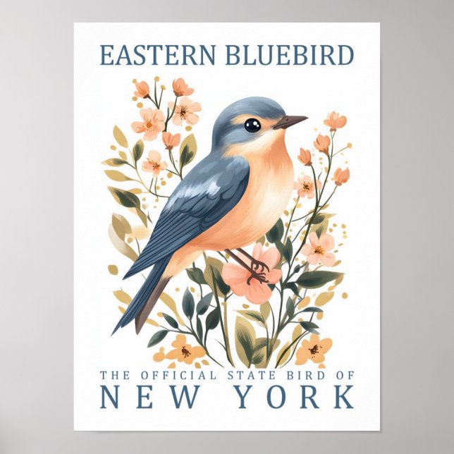 Póster Pájaro de Bluebird de Nueva York (Frente)