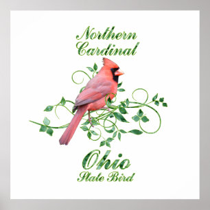 Póster Pájaro de estado cardinal de Ohio