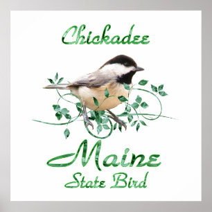 Póster Pájaro de estado de Maine del Chickadee