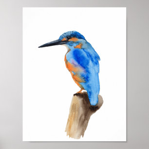 Póster Pájaro de kingfisher azul