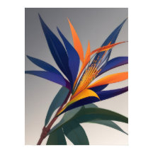 Pájaro de la flor del paraíso
